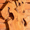 Wall mounted clock made from olive wood